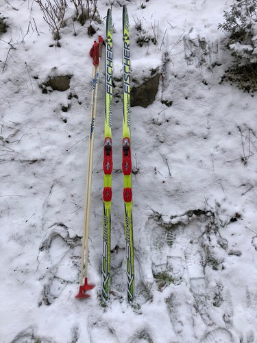 Fischer skatingski 160 - 160, cm